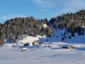 Dolomity - obiekt ze światowej listy UNESCO, przyciągający co roku rzesze turystów. Góry w całości znajdują się na terenie Włoch. Pod względem geograficznym przynależą do Południowego Tyrolu oraz są częścią Alp Wschodnich. Najwyższym, a zarazem najpopularniejszym masywem we włoskich Dolomitach jest Marmolada, górująca nad okolicą na wysokości 3342 m n.p.m. Dolomity to góry o dość nieregularnym ukształtowaniu, z licznym dolinami i przełęczami, oddzielającymi zasadnicze trzony gór. Do najbardziej znanych masywów należą Sassolungo, Sella, Marmolada, Tofany, Civetta oraz Antelao. Włoskie Dolomity stanowią największy na świecie zespół tras (o łącznej długości ponad 1200 km) i wyciągów, które obsługiwane są na podstawie jednego karnetu. Dzięki temu można korzystać z wszystkich nartostrad w 12 ośrodkach, które składają się na region narciarski Dolomitów. Włoskie góry to obszar bardzo atrakcyjny pod względem turystycznym. Jest to idealne miejsce do uprawiania wszelkich zimowych sportów, jazdy rowerowej, pieszych wycieczek, a także wspinaczki wysokogórskiej. 


Narty 
Wśród narciarzy bardzo popularna jest dolina Val di Fassa, w obrębie której znajduje się aż 9 mniejszych kurortów narciarskich. W ośrodkach można przebyć łącznie 200 km tras oraz ponad 500 km na legendarnej Sellarondzie. Po wykupieniu Skipassu można jeździć na wszystkich trasach w dolinie, co ważne, każda z nich jest w pewnym stopniu połączona z pozostałymi. Dużą popularnością cieszą się trasy widokowe, do takich należy np. Passo San Pellegrino, Col Margherita, Panoramia Rossignol czy trasa Alberto Tomby. Sella Ronda to z kolei wyzwanie dla wszystkich niestrudzonych narciarzy, którzy są świadomi swoich umiejętności. Passo Pardoi, Passo Campolongo, Passo Gardena oraz Passo Sella - przejechanie tych 4 tras na nartach w ciągu jednego dnia gwarantuje pokonanie sławnej Sella Rondy. By podjąć wyzwanie konieczne jest wykupienie Skipassu Dolomitisuperskii. Trasy przeznaczone są na ogół dla zaawansowanych i średniozaawansowanych narciarzy - na Sella Rondzie brak bowiem tras łatwych.

Świetnie przygotowane są również trasy w Val Gardenie (Alpe di Siusi), gdzie ich łączna długość osiąga ponad 170 km. Przeważają tutaj nartostrady o średnim stopniu trudności (jest ich około 60%). Wszystkie stoki obsługiwane są przez 80 wyciągów (głównie orczykowe i krzesełkowe). W ośrodku najpopularniejsze są 3 główne kurorty narciarskie: Ortisei, St. Christina oraz Selva Gardena. W pierwszym z nich, położonym stosunkowo nisko, na nartach można poszaleć na słynnej 9-kilometrowej trasie Saceda. W St. Christinie funkcjonuje szereg nowoczesnych wyciągów (Col Raiser, Saceda, Monte Pana, Ciampinoi) orczykowych, krzesełkowych oraz kolejek linowych - dzięki temu przemieszczanie się na stoku jest dużo łatwiejsze. W ostatnim z kurortów, Selva Gardenie, najbujniej rozwija się nie tylko narciarstwo i snowboard, ale także życie nocne miasteczka. Dlatego to tutaj w okresie wakacyjnym przybywa najwięcej turystów.

Podobną ofertę narciarską posiada ośrodek Valle Isarco (Eisacktal). W dolinie Isarco znajduje się 17 mniejszych i większych ośrodków narciarskich, z których najbardziej znane są: Bressanone (Brixen), Valles (Vals) oraz Maranza (Meransen). Narciarze najczęściej wybierają pierwszy z ośrodków, a to za sprawą Monte Plose - najcięższej i najdłuższej trasy w dolinie. Szczyt góruje nad kurortami na zawrotnej wysokości 2,5 tys. m n.p.m. Poza ciężkimi trasami, przeznaczonymi dla zaawansowanych (np. Trametsch), można wybrać stoki nieco łagodniejsze, których na zboczach Monte Plose jest znacznie więcej. W regionie wszystkie trasy obsługuje 25 wyciągów orczykowych, 6 krzesełkowych oraz kolejki linowe i gondolowe. W dolinie Isarco, podobnie zresztą jak pozostałych kurortach narciarskich, funkcjonuje wiele szkółek narciarskich, gdzie wykwalifikowani instruktorzy zapraszają na lekcje zarówno początkujących, jak i tych bardziej zaawansowanych narciarzy.

W samym sercu Dolomitów znajduje się kolejny region narciarski - Alta Badio, usytuowany u stóp sławnej Selli. Na wszystkich amatorów zimowego szaleństwa czeka tutaj ponad 130 km tras zjazdowych, codziennie dośnieżanych i odpowiednio przygotowywanych. Najpopularniejszymi miasteczkami w tym regionie są Corvara (Colfosco), La Villa, Pedraces, San Cassiano, La Val, między wszystkimi istnieje bardzo dobre połączenie. Ponad połowa tras w Alta Badio należy do łatwych, tylko 6% z nich przeznaczona jest dla zaawansowanych narciarzy i snowboardzistów. Od bladego świtu turyści mogą korzystać z 53 wyciągów (ponad połowa z nich to wyciągi krzesełkowe).

W popularnym Tre Valli (Falcade) trzon turystyczny stanowią 3 ośrodki narciarskie: Alpi di Lusia, Passo San Pellegrino oraz Falcade. Mniej popularna, ale również świetnie przygotowana jest niewielka Moena. Wszystkie kurorty rozciągają się na wysokości 1200-2500 m n.p.m. Sztucznie naśnieżane trasy, przygotowywane każdego dnia, gwarantują najwyższej jakości stoki. Łączna długość tras przekracza tutaj 45 km. Obsługuje je 30 wyciągów (w przeważającej mierze krzesełkowe i orczyki), dzięki czemu w zasadzie nie ma tutaj kolejek. Dużą popularnością cieszy się słynna trasa Love Skitour - SkiTour Dell Amore. W Passo San Pellegrino, najważniejszej miejscowości w Tre Valli, w ostatnich latach silnie rozbudowała się baza noclegowa oraz sieć lokali gastronomicznych.

Civetta, kolejny region narciarski Dolomitów, słynie przede wszystkim z niepowtarzalnych krajobrazów i wspaniałych tras widokowych. Na narciarzy czekają tutaj wszelkie możliwe udogodnienia, które mogą znaleźć w jednym z 4 głównych kurortów: Alleghe, Zoldo, Selva di Cadore i Palafavera. Trasy o łącznej długości 80 km naśnieżane są przez zintegrowany system armatek, obsługuje je ponad 25 wyciągów. Alternatywą dla sławnej Sella Rondy jest znajdująca się w regionie Civetta ogromna trasa World War I. Panują tutaj także dobre warunki do narciarstwa biegowego, część tras jest oświetlona i otwarta również nocą.

Uważana za serce Dolomitów Marmolada, znajdująca się na granicy regionu Arabba, przyciąga co roku w te strony Włoch rzesze turystów. To tutaj znajduje się słynna Sella Ronda - trasy, biegnące między górskimi przełęczami, do których świetny dostęp jest również z regionu Val di Fassa. Zespół tras o łącznej długości 60 km można pokonać na dwa sposoby: szlakiem zielonym lub pomarańczowym - zależy to od kierunku pokonywania tras. Zaawansowany narciarz pokonuje Sella Rondę w ciągu jednego dnia, mniej doświadczeni raczej nie powinni podejmować wyzwania, część tras jest ciężka i niebezpieczna do pokonania.

Obereggen (Val di Fiemme) składa się z 5 głównych baz narciarskich: Alpe Cermis, Ski Center Latemar (Alpe di Pampeago, Predazzo, Obereggen), Bellamonte, Passo Rolle, Lavaze (Oclini). Każdy narciarz znajdzie tutaj coś dla siebie, łączna długość tras wynosi ponad 100 km, wszystkie obsługiwane są przez około 50 wyciągów (14 orczyków, 27 krzesełkowych, oraz kolejki linowe i gondolowe). Region słynie m.in. z organizacji różnego typu zawodów narciarskich oraz mistrzostw, dodatkową atrakcją są otwarte tutaj tory saneczkowe, lodowiska, skocznie, baseny, korty tenisowe oraz inne atrakcje. W okolicach Predazzo znajduje się jedna z najchętniej odwiedzanych przez narciarzy tras, popularna \\\