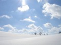 Kirchberg, położony na wysokości 860 m n. p. m. w samym sercu Alp w malowniczej dolinie Brixental, niedaleko od znanego centrum turystycznego Kitzbühel, jest prawdziwym królestwem narciarzy i snowboardzistów. Znajdziesz tu 40 km ścieżek spacerowych gdzie możesz delektować się dziewiczą przyrodą, cudownymi widokami, świeżym górskim powietrzem i unikalną górską scenerią. Na szlaku dla spacerowiczów spotkasz zapewne ludzi uprawiających Nordic Walking, czyli sposób chodzenia wywodzący się z narciarstwa biegowego. Polega on na chodzeniu po górach tylko z kijami narciarskimi, przez co odciąża się stawy skokowe, ale za to wzmacnia siłę mięśni ramion i klatkę piersiową, a także spala więcej energii niż przy zwykłym chodzie. Warto spróbować, łącząc przyjemne z pożytecznym. 

Niewątpliwą atrakcją jest też Kitz-Alp-Bike Marathon, odbywający się co roku we wrześniu jako część Euro-Bike-Extreme Series. Zainteresują Cię zapewne także zawody baloniarskie Tirol Ballon Cup (odbywają się także we wrześniu). A jeśli dla Ciebie to nadal zbyt mało, wówczas powinieneś wybrać się na zwiedzanie miasta. Piękny kościół Św. Ulricha z XIV wieku jest dziś celem pielgrzymek. 
Innymi miejscami wartymi zobaczenia są ogród botaniczny wypełniony alpejskimi kwiatami, Muzeum Górnictwa Hahnenkamm oraz ścisły rezerwat przyrody Aurach. Natomiast na najbardziej wytrwałych i energicznych urlopowiczów czeka bogate życie nocne. Jak więc widzisz, w Kirchberg na pewno nie będziesz się nudził! 

Jedną z bardzo przyjemnych atrakcji jest kąpiel w jeziorze Schwarzsee. Jedno z najpiękniejszych i niejcieplejszych jezior alpejskich. Jezioro jest o powierzchni 8ha a głębokość sięga nawet 8 m. Jezioro ma właściwości lecznicze dzięki zawartości torfu. W Schwarzsee można łowić ryby lub popływać kajakiem. 
To co warto zobaczyć w Kirchberg to Kościół Św. Ulricha z XIV wieku. Kościół jest celem pielgrzymek. Kolejnym miejscem wartym zwiedzenia jest ogród botaniczny z alpejskimi kwiatami koło Kitzbüheler Horn, Muzeum Górnictwa Hahnenkamm oraz ścisły rezerwat przyrody Aurach. 
W mieście znajdują się restauracje, bary, oraz są tam miejsca w których odbywa się bogate życie noce. 
 

Miejsce to jest prawdziwym rajem dla miłośników sportów zimowych. Sezon trwa od grudnia do marca (dokładniej 20.12-14.03). Jest tu ponad 60 wyciągów (28 orczykowych, 27 krzesełkowych i 5 gondolowych) i około 200km przestrzeni dla narciarzy i snowboardzistów. A w tym 70km długości tras niebieskich, 69 km tras czerwonych i 17km czarnych. 

Karnet Kitzbuhel ważny jest na regiony narciarskie: Kutzbuhel/Kirchberg, Skiwelt Wilder Kaiser - Brixental, Skiregion Schneewinkel, Skigebit Alpbachtal, Hochtal Wildschonau. Dodatkowo karnet upoważnia do wolnego wstępu na baseny: Aquarena Kitzbuhel, Panorama Badewelt St. Johan in Tirol, Kaiserbad Ellmau, Panoramabad Soll, Aubad Fieberbrunn, Alpenbad St. Ulrich am Pillersee.
