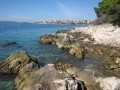 Ciepłe, czyste morze, doskonałe warunki do żeglowania i nurkowania, znakomita kuchnia oraz bogactwo kulturalne środkowej Dalmacji - to wszystko gwarantują wakacje w Okrugu Gornjim.

Miejscowość ta leży na wyspie Čiovo położonej tuż koło Trogiru i bardzo blisko Splitu. Dotrzeć można tutaj bardzo łatwo - niedaleko Trogiru znajduje się lotnisko, a wzdłuż wybrzeża wiedzie wygodna Jadranska Magistrala, droga łącząca Istrię z Dubrownikiem i resztą Chorwacji.

Okrug, ze swoimi plażami i zatokami oraz z 2670 słonecznymi godzinami w roku, jest jedną z najatrakcyjniejszych miejscowości turystycznych w Chorwacji. Ponadto miejscowość ta może pochwalić się dużą liczbą lokali gastronomicznych z bogatym wyborem specjałów kuchni dalmatyńskiej.

Z Trogiru do Okrugu prowadzi droga, która w lecie jest nieustannie zakorkowana, co sprawia, że przeprawa na kontynent zajmuje dużo czasu. Powodem tego stanu jest wąski most łączący Čiovo z Trogirem. Dobrą alternatywą jest podróżowanie własną łodzią.


Historia


Tereny, na których znajduje się miejscowość Okrug Gornji w dawnych wiekach zamieszkiwane były przez Ilirów, Greków i Rzymian. Od VII w. notuje się obecność Słowian. W czasach nowożytnych największe wpływy polityczne w regionie miała Wenecja, a później Węgry i Austria. Dzięki ożywionej wymianie handlowej, produkcji wina i bardzo cennej soli, ziemie te były zamożne, o czym świadczą wspaniałe zabytki choćby w Trogirze czy Splicie. O świetnej przeszłości tych okolic świadczy też XV-wieczny most, który łączy Čiovo z Trogirem.


Atrakcje turystyczne


W niewielkim Okrugu są aż trzy kościoły: św. Karola Boromeusza (budynek 300-letni), św. Tudora (ponad 500 lat) oraz świątynia Podniesienia Krzyża Świętego (budowla nowa, konsekrowana w roku 2006). Poza tym na Čiovie znajduje się sporo zabytków, m.in. dominikański klasztor św. Krzyża, klasztor św. Antoniego, kościół św. Jakuba oraz najstarszy - Najświętszej Marii Panny.

Z centrum Okrugu do Trogiru jest zaledwie ok. 3,5 km, zatem spędzając wakacje w Okrugu można bez ograniczeń czerpać wrażenia z przebywania w tym niezwykle ciekawym mieście. Jego 2800-letnia historia, starówka wpisana na listę światowego dziedzictwa UNESCO, muzea, ogrody i kluby nocne sprawiają, że miasto to warte jest odwiedzenia o każdej porze dnia.

Z Okrugu bardzo blisko też do Splitu (8 km), gdzie znajduje się inny obiekt z listy światowego dziedzictwa UNESCO: jest nim pałac Dioklecjana z III-IV w. n.e. założony na planie rzymskiego obozu wojskowego (ok. 150 na 190 m) z murami i wieżami. To oczywiście tylko jeden z wielu zabytków Splitu i jedna z wielu jego atrakcji.

Ponadto między Trogirem a Splitem nad Zalewem Kasztelańskim (Kaštelanski zaliv) znajduje się klika wartych zobaczenia zamków i pałaców (kašteli).


Wycieczki fakultatywne


Miastem równie pięknym co Trogir i Split jest Szybenik (zaledwie 49 km od Okrugu). To małe chorwackie miasto (51 tys. mieszkańców) szczyci się przede wszystkim katedrą św. Jakuba - obiektem z listy światowego dziedzictwa UNESCO - a jego staromiejska zabudowa jest podobnej wartości, co trogirska czy splicka.

Ok. 10 km na północny zachód od Szybeniku znajduje się Park Przyrody Vransko jezero. Jezioro Vransko to fenomen przyrody i największe naturalne jezioro w Chorwacji. Jest to właściwie podmokłe krasowe pole, a w wodę zaopatruje je kilka mniejszych źródeł. Jego część jest chroniona jako rezerwat ornitologiczny.

Istnieje też możliwość rejsu na wyspę Hvar, której krajobraz kulturowy został wpisany na listę światowego dziedzictwa UNESCO. W rejs na tę i na inne okoliczne wyspy można wybrać się ze Splitu. Kursują stąd nawet promy do Wenecji i innych miast włoskich.

Bardzo ciekawym mikroregionem jest obszar między Szybenikiem a Kninem - zarówno pod względem historycznym, jak i przyrodniczym. Oprócz zabytków z czasów starożytnych, są tu też klasztory, zamki i efektowne wodospady na rzece Krka, chronione przez Park Narodowy Krka.

[T]Pomiędzy Zadarem a Szybenikiem rozciąga się Archipelag Kornati - grupa wysp i wysepek objęta ochroną jako park narodowy. Archipelag ten posiada zarówno walory krajobrazowe, przyrodnicze (bogactwo podmorskiej flory i fauny), jak i historyczne.


Plaże i sporty


Okrug swoim gościom, oprócz słońca, morza i restauracji, oferuje różnego rodzaju aktywny wypoczynek. W miejscowości jest szkoła nurkowania i zespół obiektów tenisowych. Codzienne organizowane są wycieczki małymi statkami w okoliczne ciche zatoki. Można też wynająć skuter, a odważniejsi mogą wykonać skok na spadochronie.

Osobom posiadającym własną łódź bądź jacht należy polecić grupę malowniczych wysepek znajdujących się pomiędzy Čiovem a Velim Drevnikiem. Można też wybrać się na większe i dalsze wyspy, na których nie brakuje zabytków i innych atrakcji: Brač, Hvar i Korčulę.


Noclegi


Okrug Gornji jest dość rozległą miejscowością, co sprawia, że mieści się tutaj naprawdę dużo hoteli, willi, pensjonatów i kwater prywatnych. Są to zarówno obiekty o bardzo wysokim standardzie, jak i te oferujące wysoki standard w przystępnej cenie. Zamieszkać można w Okrugu w części południowej (plaża w kierunku południowym), centralnej (plaża w kierunku zachodnim, przystań) albo północnej, bliżej Trogiru.


Kuchnia


Okrug może pochwalić się dużą liczbą lokali gastronomicznych z bogatym wyborem specjałów kuchni dalmatyńskiej, w której dominują dania z ryb i owoców morza. Z ryb, przyrządzanych na różne sposoby, je się głównie skorpenę, morszczuka i różne gatunki leszcza. W Dalmacji używa się bardzo dużo miejscowych ziół i oliwy z oliwek. Znana jest też mamałyga, którą często dodaje się do dań rybnych lub dań z owoców morza.

Dwa najbardziej znane, typowe dalmatyńskie desery to rožata i fritule. Rožatę przygotowuje się z jajek, mleka i karmelu. Przysmak ten jest szczególnie lubiany w południowej Dalmacji. Fritule robi się z ciasta drożdżowego z dodatkiem rodzynków i likieru, formuje w kulki wielkości śliwek i smaży na oleju.

Wakacje w tym regionie Chorwacji to również świetna okazja, by spróbować chorwackich win, wysoko cenionych na całym świecie. Produkuje je się tutaj od wielu wieków, a każda wyspa posiada własny niepowtarzalny jego gatunek. Niedaleko Okrugu znajduje się najsłynniejszy chorwacki region winiarski - półwysep Pelješač - gdzie wytwarza się słynne wina Postup i Dingač.


Klimat, pogoda, średnie temperatury


Najlepszy okres, na urlop w Okrugu to miesiące od maja do września, a szczególnie miesiące wakacyjne: lipiec i sierpień. Temperatura powietrza w tym okresie to średnio 30°C, a wody w morzu - 23°C. Najwięcej godzin ze słońcem - 11 - notuje się tutaj w miesiącach od czerwca do sierpnia. Co ciekawe w Okrugu jest średnio aż 281 dni z temperaturą powyżej 10°C w ciągu całego roku. W okresie letnim średnia minimalna temperatura wynosi 20°C, a zimą często przekracza +15.