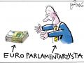 Euro Parlamentarzysta