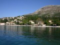 Podstawowe informacje


Dalmacja jest jednym z częściej odwiedzanych rejonów Chorwacji. Urocze wyspy, piękne, zabytkowe miasta wraz z perłą Adriatyku czyli Dubrovnikiem - to wszystko zachęca do wizyt w tym rejonie kraju. Piękne plaże, zachwycająca przyroda to dodatkowe atuty Dalmacji. Wybierając się na wakacje w ten region Chorwacji, warto wybrać miejscowość Mlini. Położona w tak zwanej Župie dubrovačkiej, zaledwie 11 km od Dubrovnika jest idealnym miejscem zarówno na wypoczynek jak również doskonałą baza wypadową do pobliskich miejscowości. Połączenie ciszy i spokoju, z bliskością zabytków jest idealną propozycją na wakacje.


Historia


Dalmacja może poszczycić się wielowiekową i bogatą historią. Tereny te znajdowały się zarówno pod wpływem Wenecji, jak również imperium osmańskiego. Zaznaczyła się tutaj również dominacja monarchii Habsburgów do których tereny te należały przez długi czas. Po I Wojnie Światowej, Dalmacja została włączona do Królestwa Serbów, Chorwatów i Słoweńców, czyli późniejszej Jugosławii. Po jej rozpadzie, w 1991 roku, większa część Dalmacji została wcielona w tereny Chorwacji.


Atrakcje turystyczne


Główną atrakcja turystyczną Mlini jest cisza i spokój. Jednak nie oznacza to że wypoczynek tutaj może być nudny. Dogodne połączenie z okolicznymi miastami sprawia, że wakacje spędzone w tej miejscowości będą niezapomnianym przeżyciem. Wystarczy wspomnieć o odległym zaledwie o 11 km Dubrovniku, mieście, z którego słynie Chorwacja. W okresie letnim, od końca czerwca do sierpnia odbywa się tutaj Letni Festiwal (Dubrovačke ljetne igre) czyli największe wydarzenie kulturalne w Chorwacji. Mnóstwo koncertów, przedstawień, spektakli, często pod gołym niebem, to coś co warto zobaczyć. Oprócz tego warto zobaczyć starówkę w Dubrovniku, która została wpisana na listę UNESCO. W tym pięknym mieście znajduje się mnóstwo zabytkowych kościołów, baszt i wież obronnych a także najstarsza apteka w Europie. W samym Mlini warto zobaczyć kościół z XV wieku, zbudowany w pobliżu plaży. Mowa o kościele św. Hilariusa. Turyści, podczas spacerów po tej niewielkiej mieścinie, równie chętnie zatrzymują się przy kaplicy św. Rocha.


Plaże i sporty


Mlini, znajdujące się na Riwierze Dubrovnika, może pochwalić się pięknymi, żwirowymi plażami. Tutejsze wody są czyste i ciepłe, co zachęca do uprawiania takich sportów wodnych jak nurkowanie, windsurfing czy jazda na nartach wodnych. W pobliżu znajdziesz wypożyczalnie potrzebnych sprzętów. Ale Mlini to nie tylko możliwość aktywnego wypoczynku w Adriatyku. Można tutaj uprawiać jogging, czy po prostu spacerować po pięknych okolicach.


Noclegi


W zależności od kwoty jaką chcesz przeznaczyć na noclegi, możesz wybrać rodzinny pensjonat, kwatery prywatne lub apartamenty. W pobliskim Dubrovniku czekają na ciebie hotele, zarówno ekskluzywne jak również o normalnym standardzie. W tym rejonie Dalmacji bez problemu znajdziesz noclegi w pełni odpowiadające twoim wymaganiom, bez względu na to czy szukasz campingu, hotelu czy kwatery prywatnej.


Wycieczki


Warto udać się do oddalonego o 63 km Parku Narodowego Mljet. Znajduje się on na najbardziej zielonej chorwackiej wyspie o takiej samej nazwie. Największą atrakcją parku dla turystów są dwa słone jeziora: Wielkie i Małe. Ich zasolenie, ze względu na stałe połączenie z Adriatykiem, jest nawet o kilka procent wyższe niż otaczającego wyspę morza. Park Narodowy Mljet to miejsce gdzie można obserwować piękną chorwacką florę i faunę. Sosna alpejska oraz dęby pokrywają większą część wyspy, a u jej wybrzeży można spotkać bardzo rzadkie foki mniszki.


Kuchnia


Popisowym przysmakiem Dalmacji jest dalmatyński pršut oraz pieczona jagnięcina. W menu wszystkich restauracji czy tawern znajdziesz na pewno owoce morza takie jak małże, raki czy kałamarnice. Dla miłośników słodyczy warto polecić fritule, czyli małe kulki z drożdżowego ciasta, z dodatkiem rodzynek i likieru, smażone na wrzącym oleju.


Klimat


Klimat, panujący na Riwierze Dubrovnika, w skład której wchodzi miejscowość Mlini, jest wręcz wymarzony na wakacje. W ciągu roku jest tutaj aż 250 dni słonecznych. Średnie roczne temperatury wynoszą około 17°C. W miesiącach od maja do września, temperatura rzadko schodzi poniżej 25°C. Tutejsze rejony charakteryzują się również ciepłymi zimami, średnia temperatura w okresie zimowym wynosi około 10°C. Woda w Morzu Adriatyckim aż zachęca do kąpieli. Nic dziwnego, kąpiel w wodach o średniej temperaturze 21°C to sama przyjemność. Z racji na dogodne warunki klimatyczne, sezon kąpielowy w okolicach Mlini trwa już od końca kwietnia, czasami nawet do początku października.