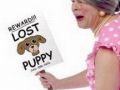Lost Puppy:)